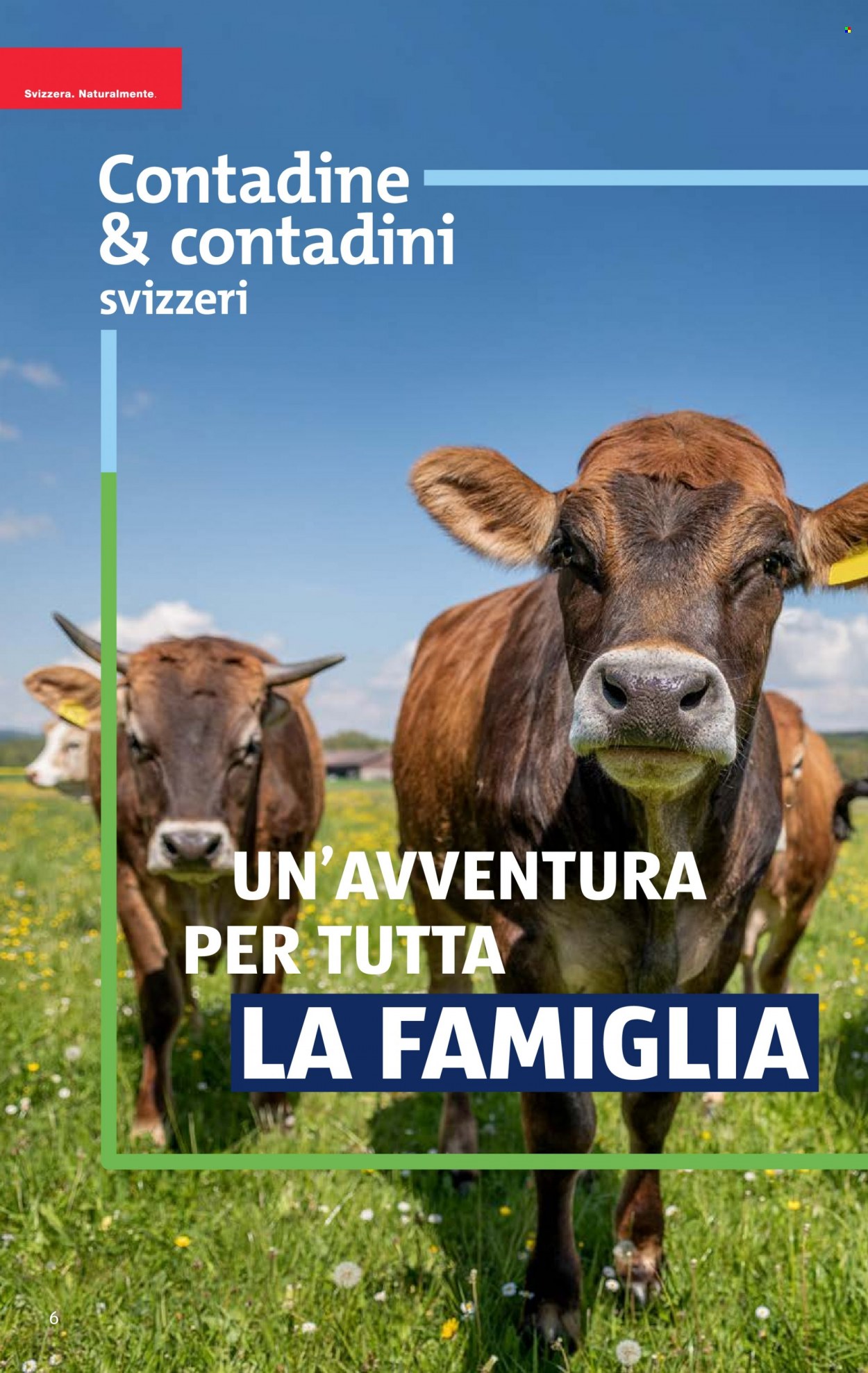 Volantino Aldi - 13.7.2023 - 19.7.2023. Pagina 6