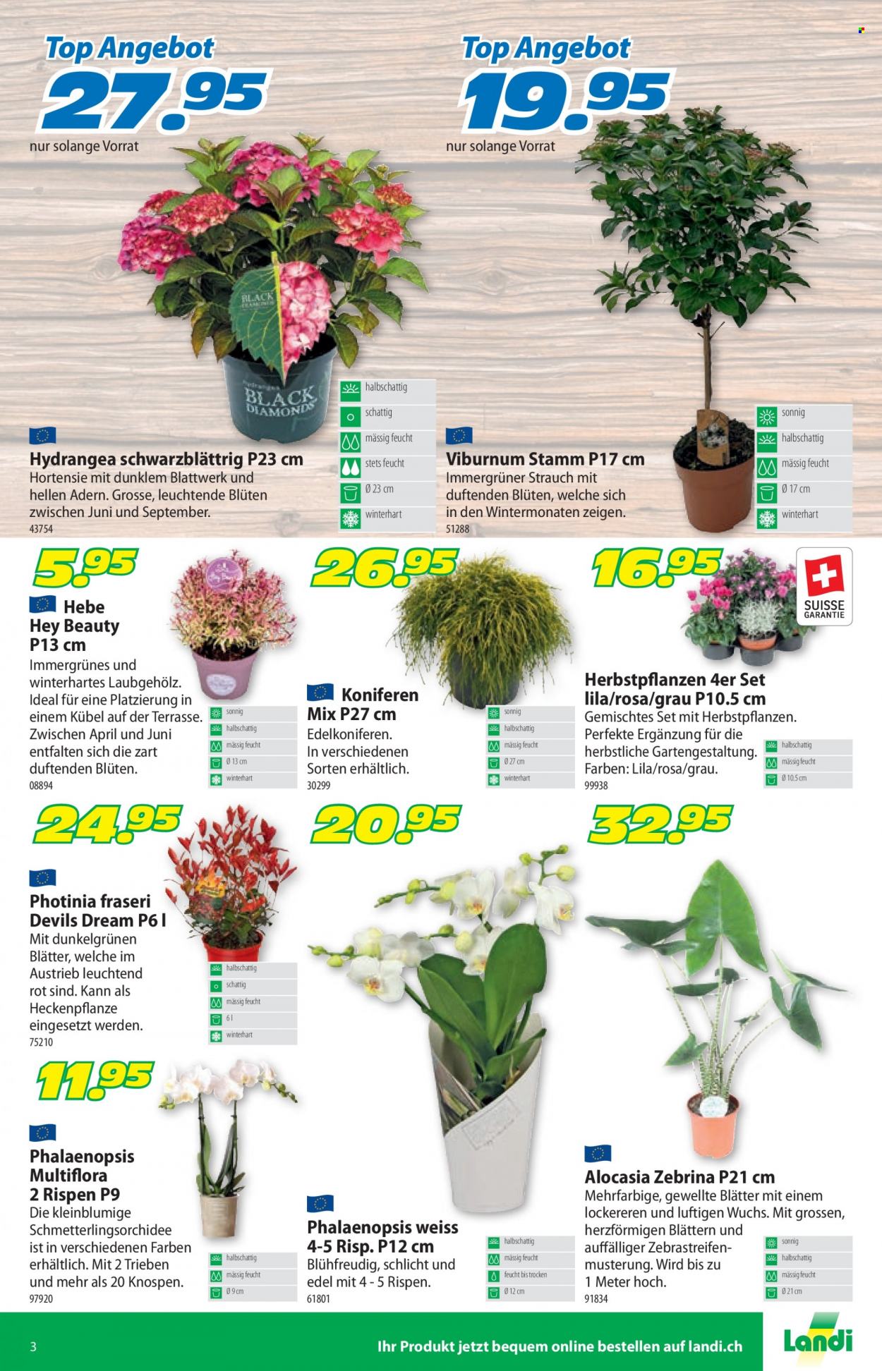 Catalogue Landi - 21.8.2023 - 3.9.2023. Page 3
