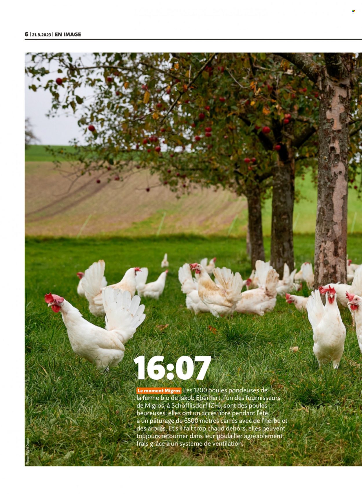 Volantino Migros - 21.8.2023 - 27.8.2023. Pagina 6