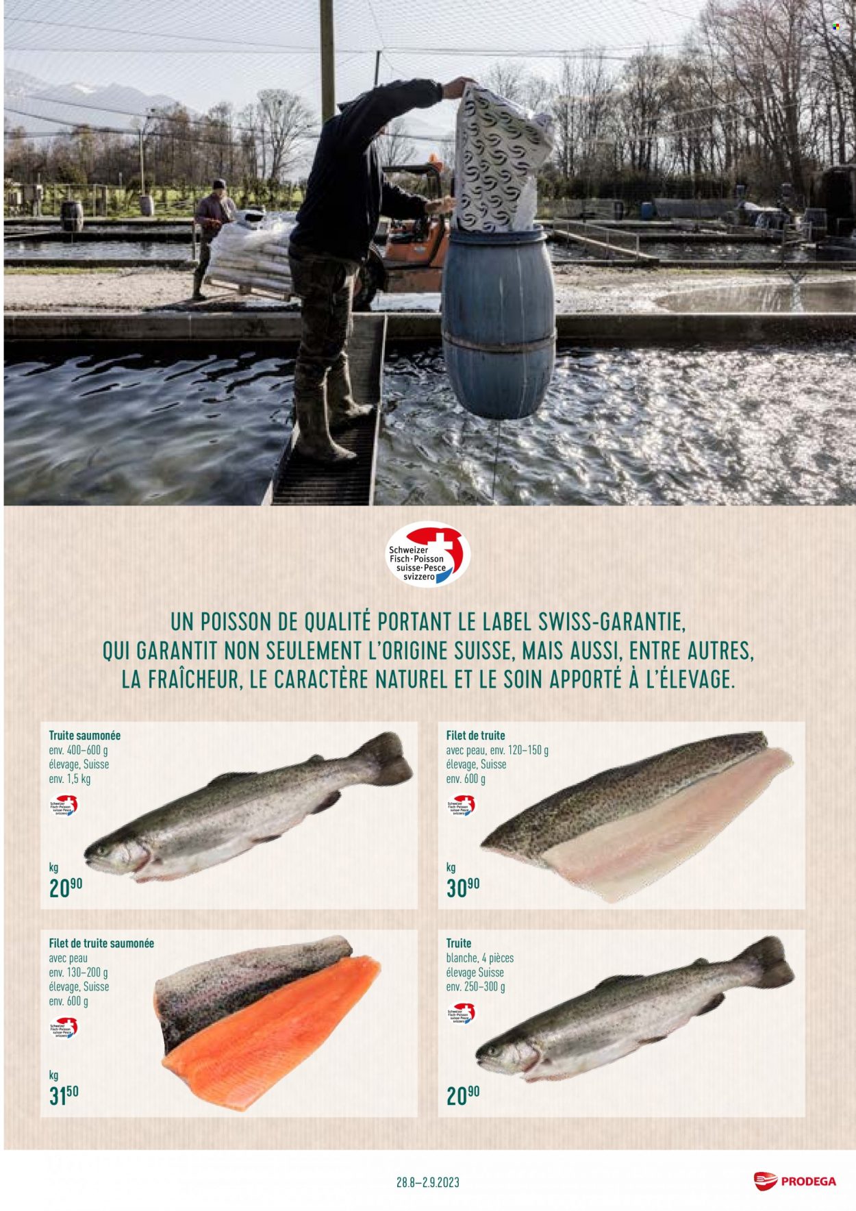 Volantino Prodega - 28.8.2023 - 2.9.2023. Pagina 7