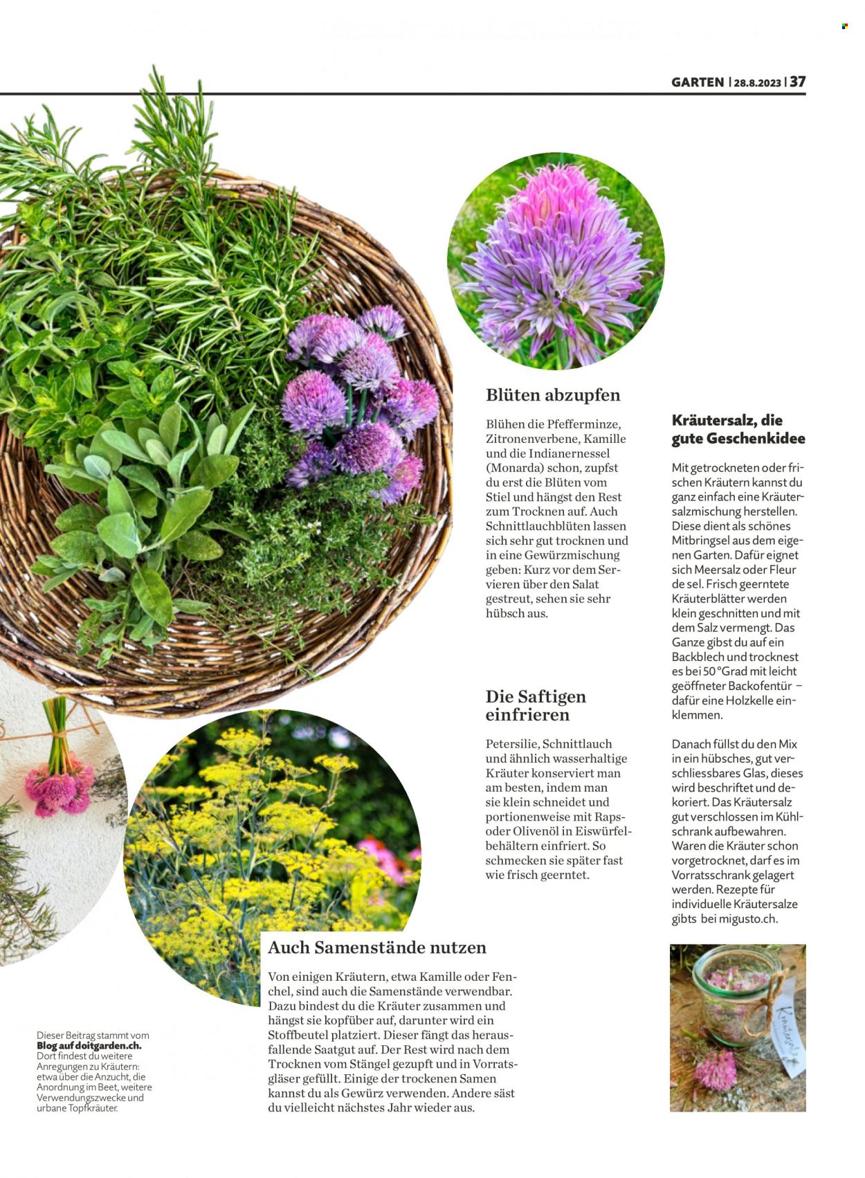 Volantino Migros - 28.8.2023 - 3.9.2023. Pagina 37