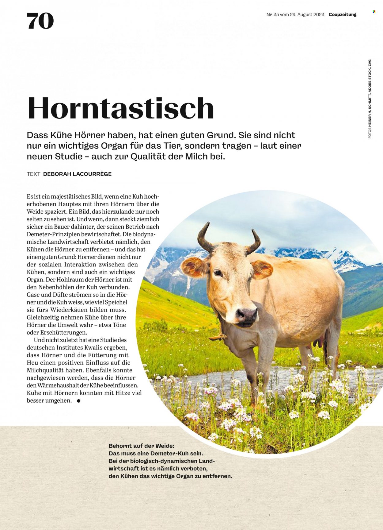 Prospekt Coop - 29.8.2023 - 4.9.2023. Seite 70