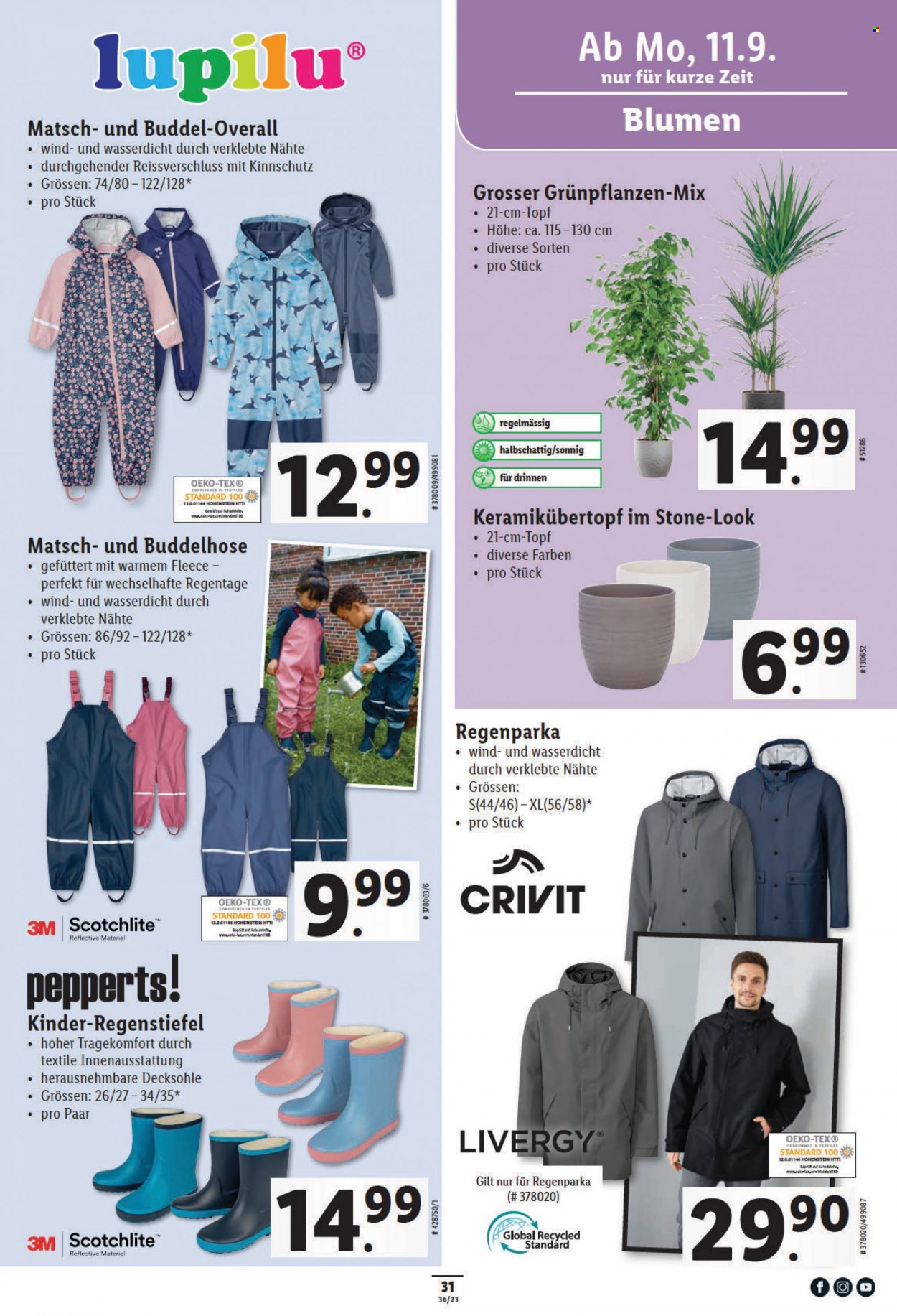 Catalogue Lidl - 7.9.2023 - 13.9.2023. Page 31