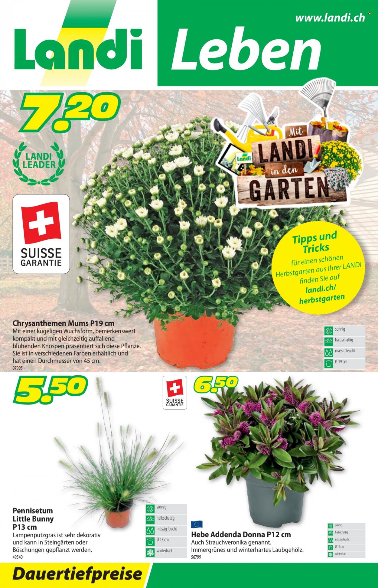 Volantino Landi - 4.9.2023 - 17.9.2023. Pagina 1