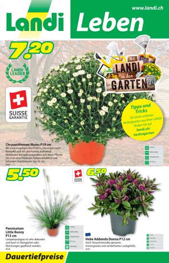 Volantino Landi.