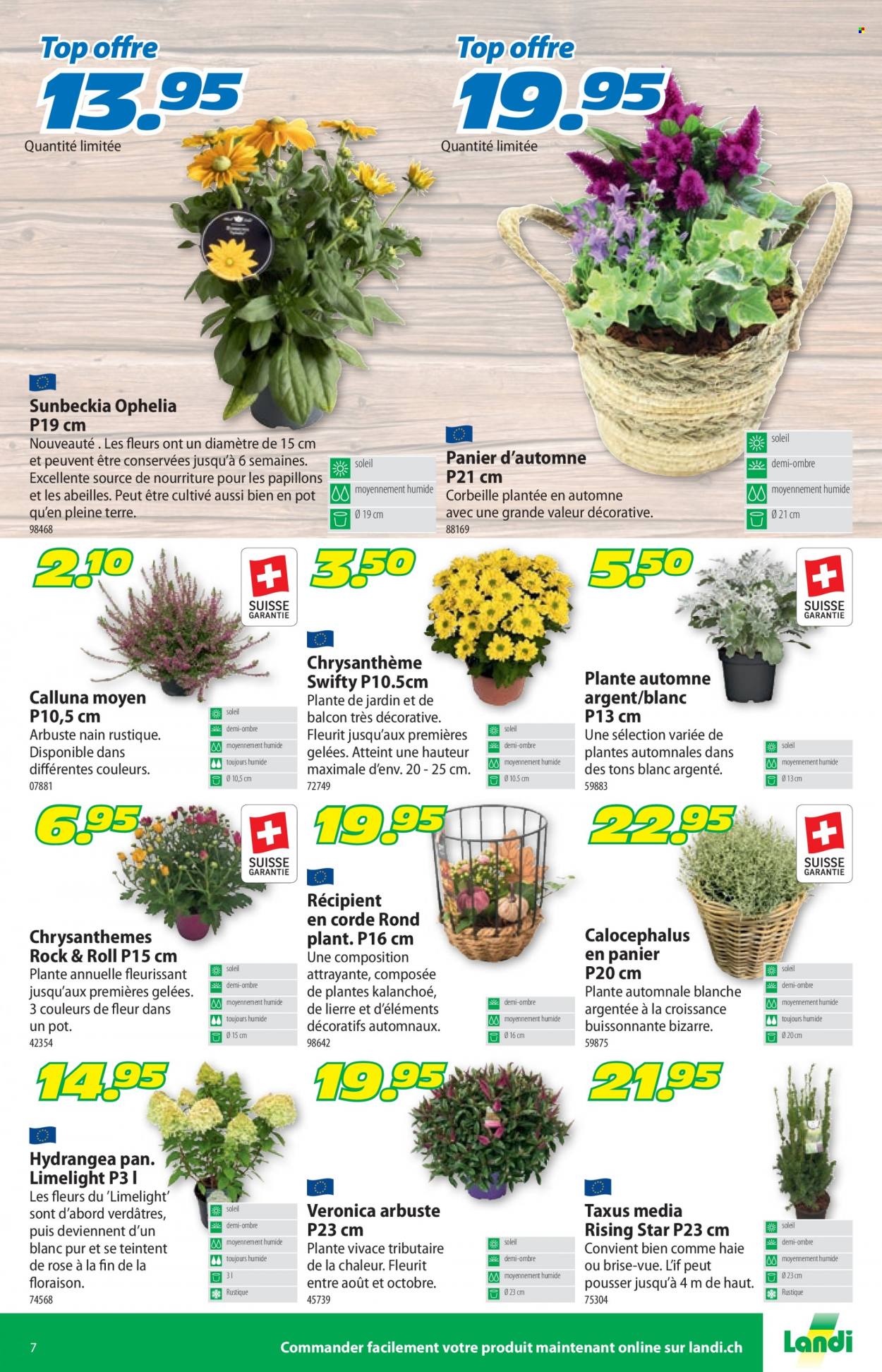 Catalogue Landi - 4.9.2023 - 17.9.2023. Page 11