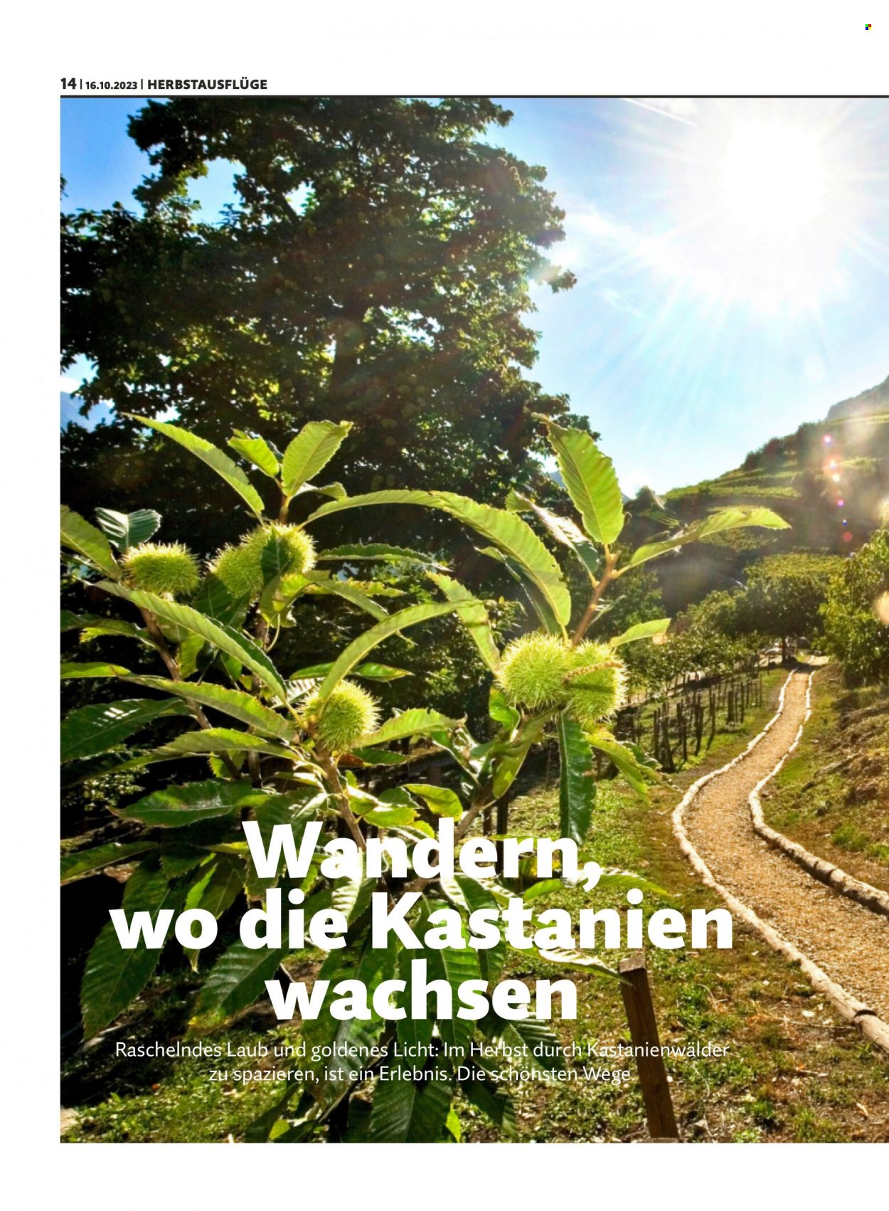 Prospekt Migros - 16.10.2023 - 22.10.2023. Seite 14
