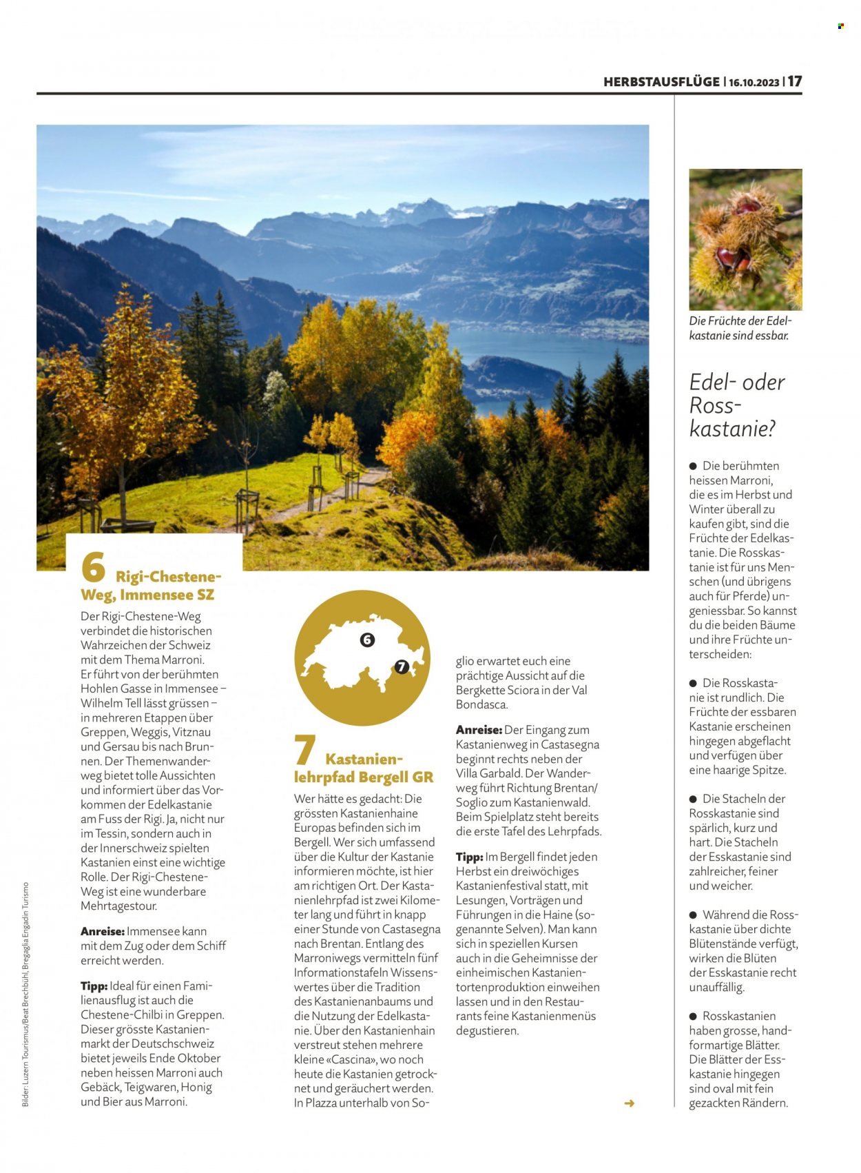 Prospekt Migros - 16.10.2023 - 22.10.2023. Seite 17