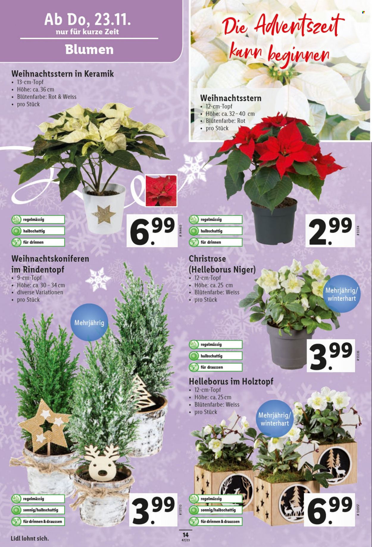 Volantino Lidl - 23.11.2023 - 29.11.2023. Pagina 14