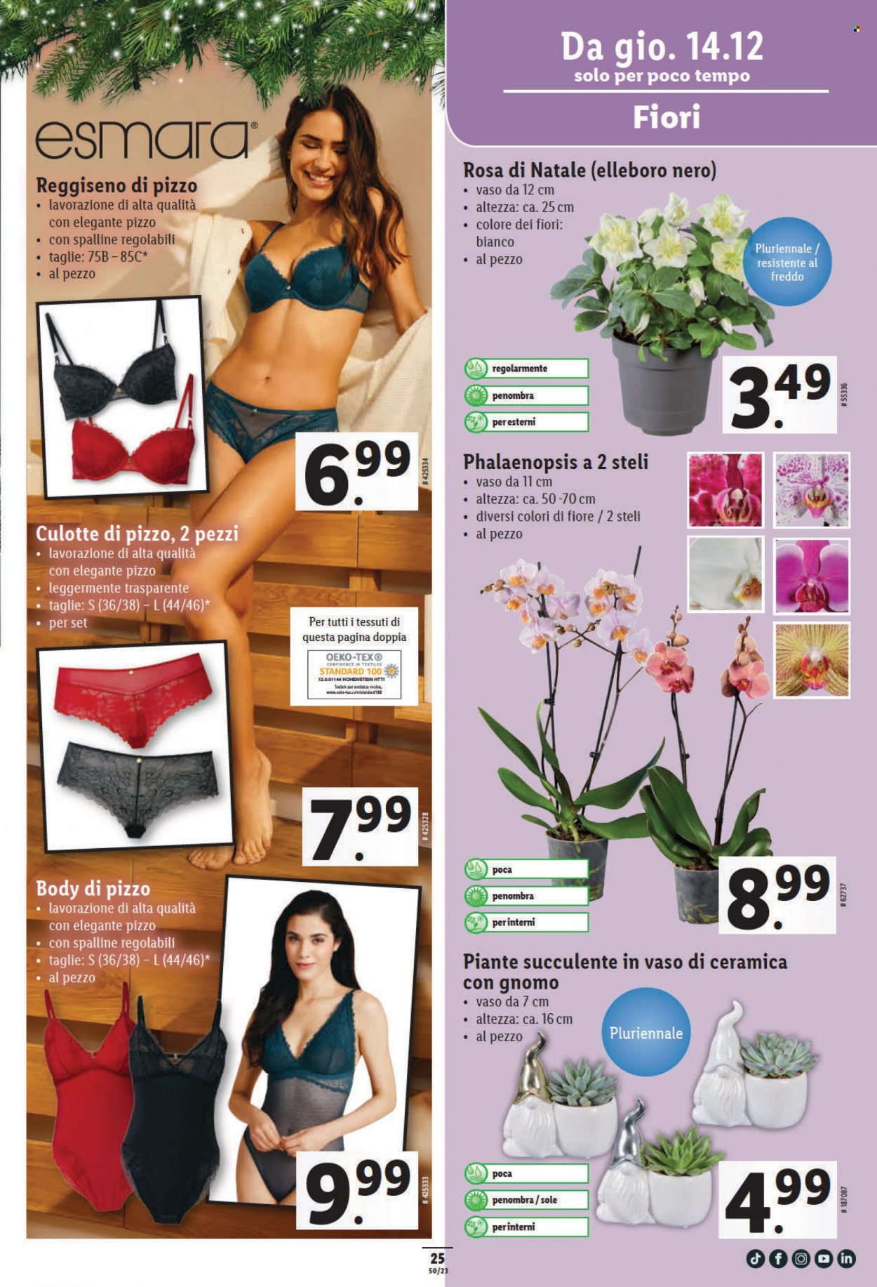 Volantino Lidl - 14.12.2023 - 20.12.2023. Pagina 25
