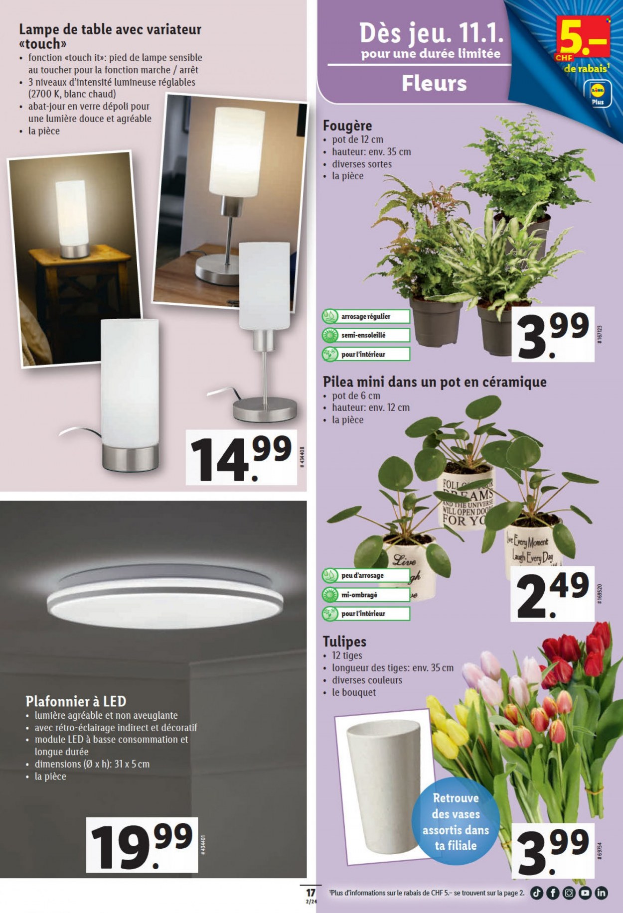 Catalogue Lidl - 11.1.2024 - 17.1.2024. Page 17