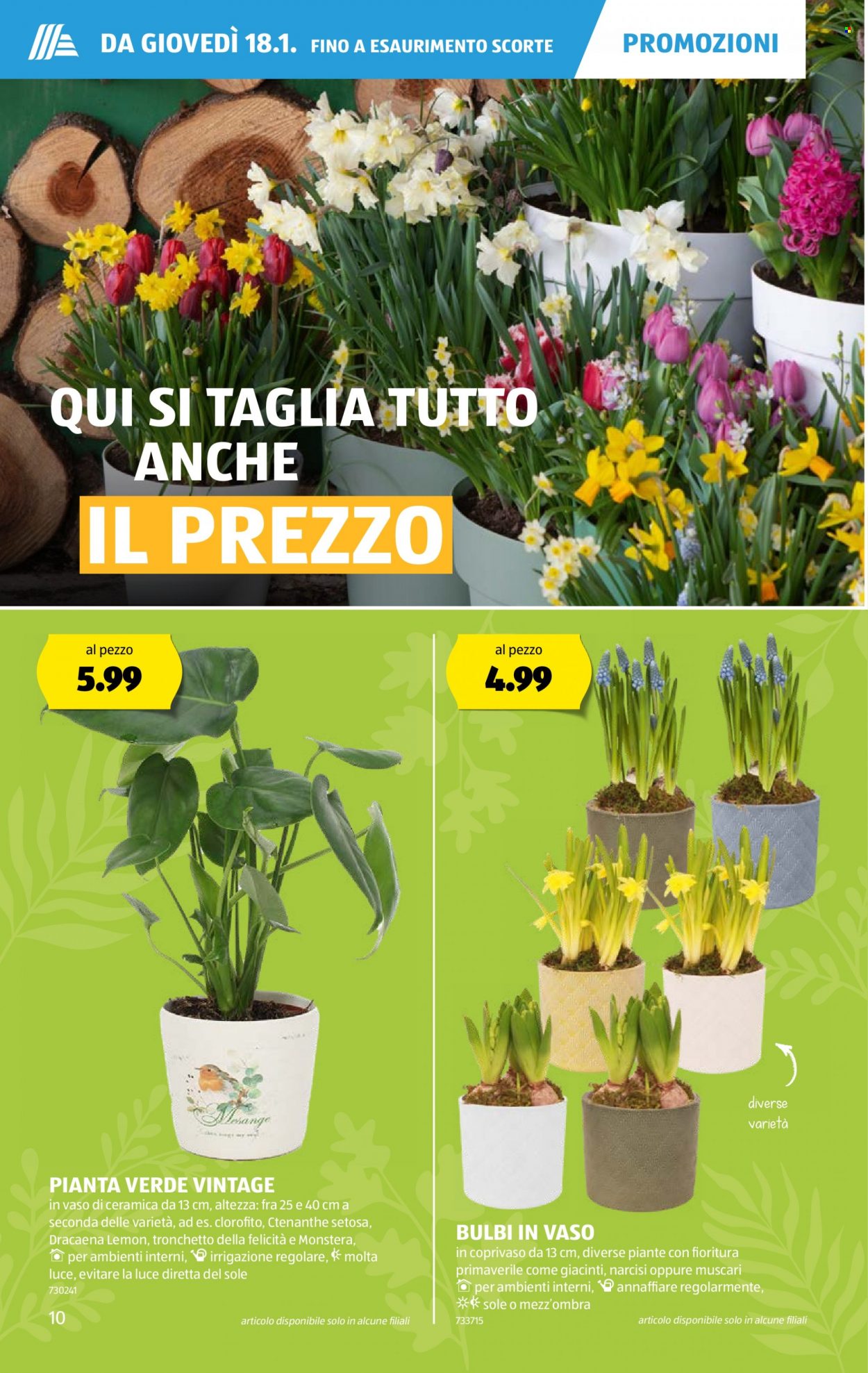 Volantino Aldi - 18.1.2024 - 24.1.2024. Pagina 10