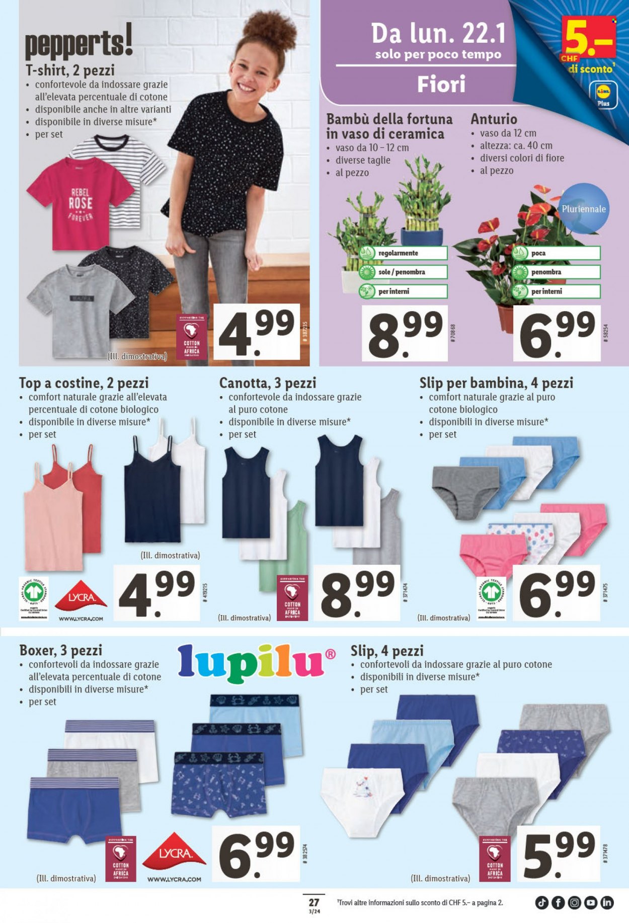 Catalogue Lidl - 18.1.2024 - 24.1.2024. Page 27