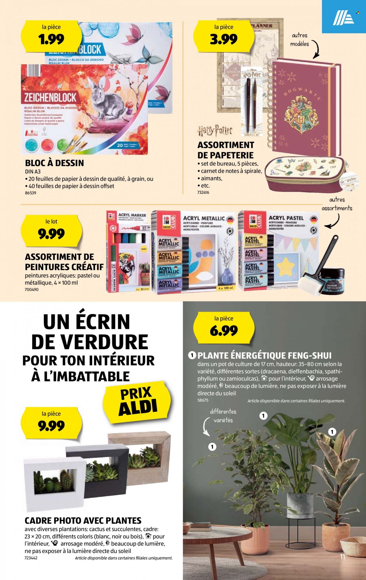 Volantino Aldi - 25.1.2024 - 31.1.2024. Pagina 11
