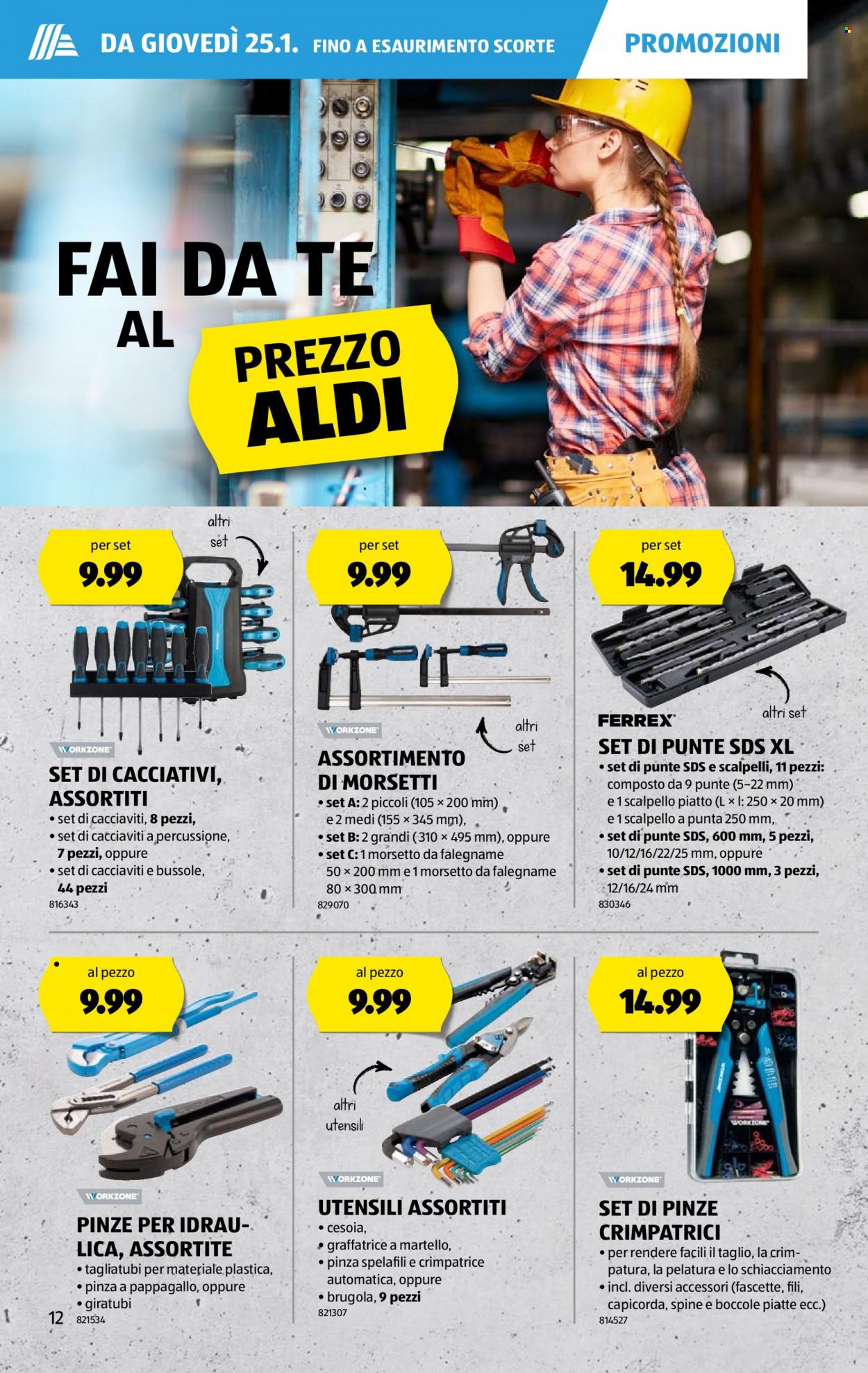Volantino Aldi - 25.1.2024 - 31.1.2024. Pagina 12