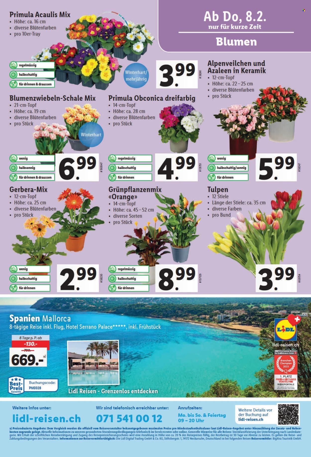 Prospekt Lidl - 8.2.2024 - 14.2.2024. Seite 11