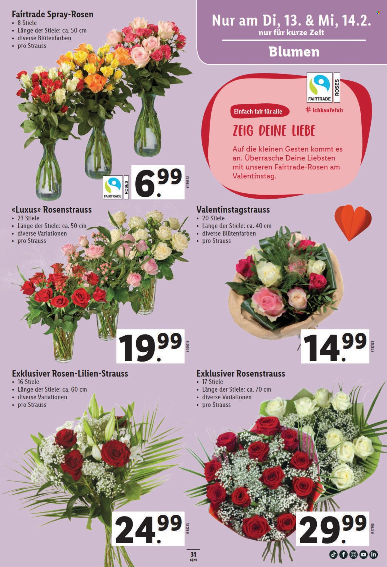 Prospekt Lidl - 8.2.2024 - 14.2.2024. Seite 31