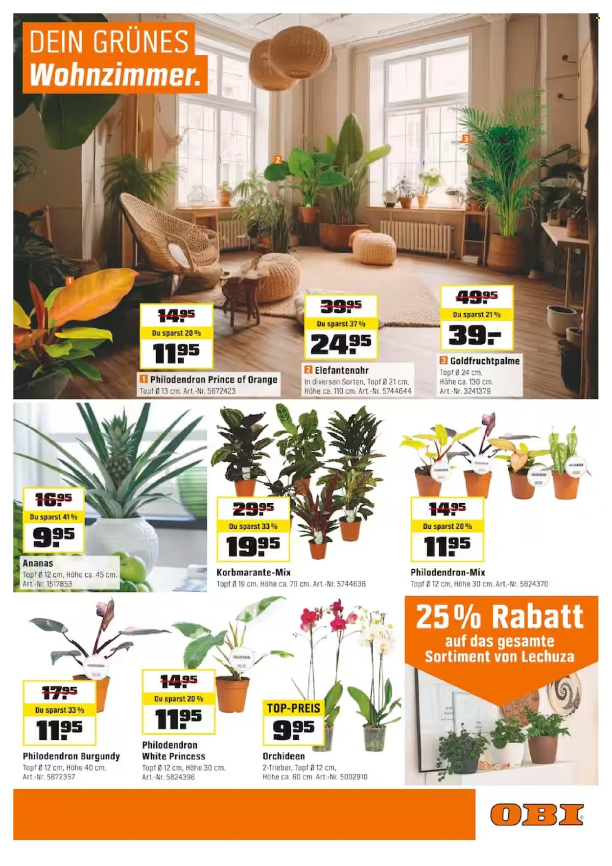Catalogue OBI - 5.2.2024 - 24.2.2024. Page 13