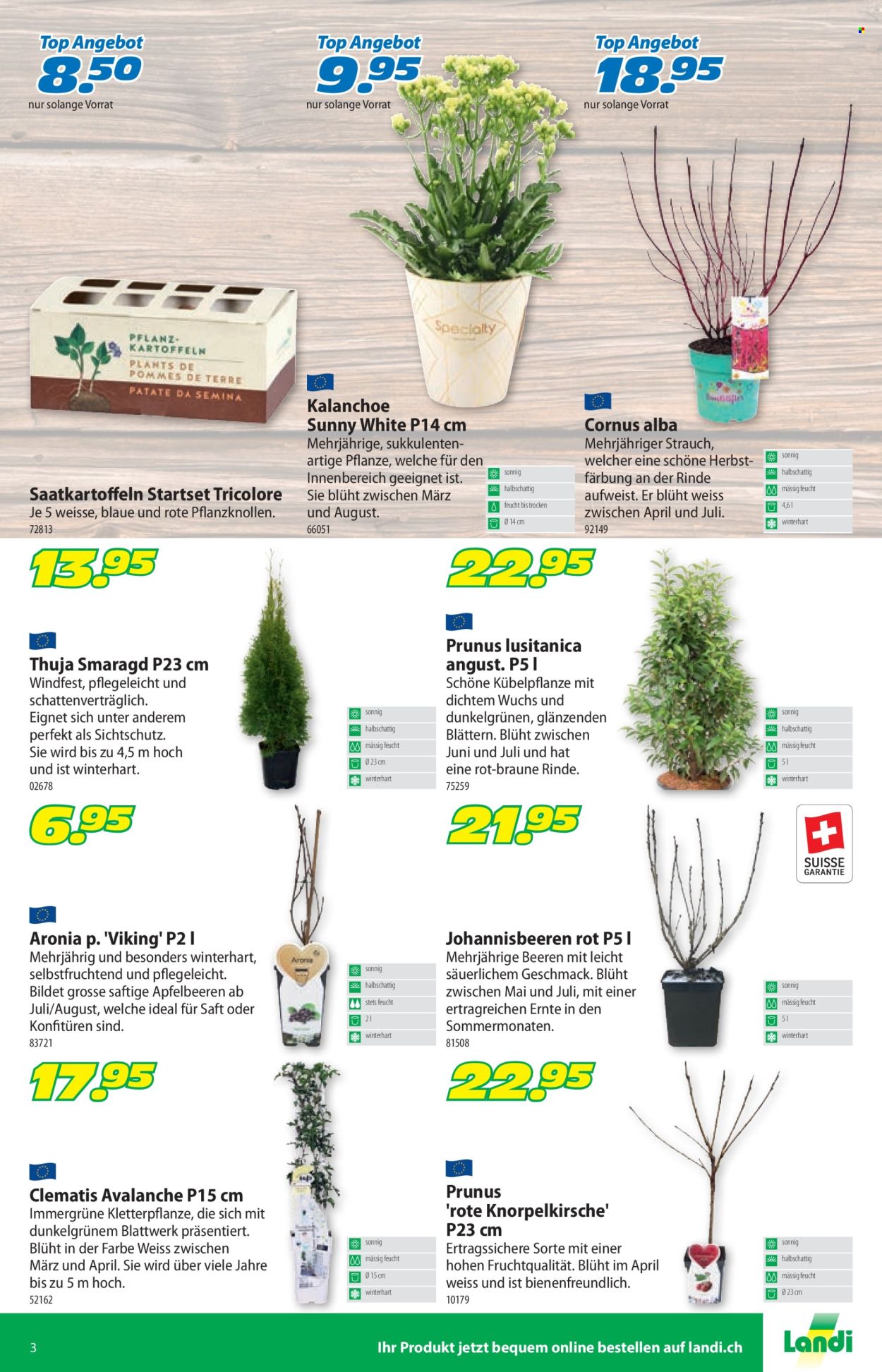 Prospekt Landi - 19.2.2024 - 3.3.2024. Seite 7