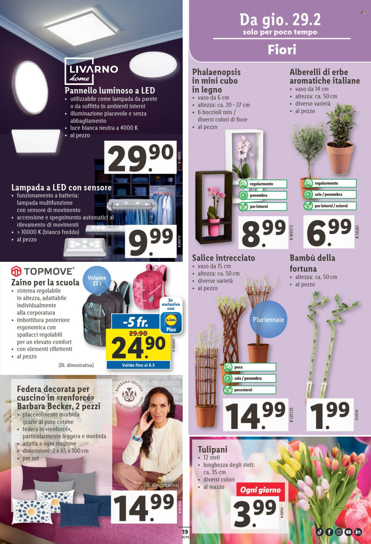 Volantino Lidl - 29.2.2024 - 6.3.2024. Pagina 21