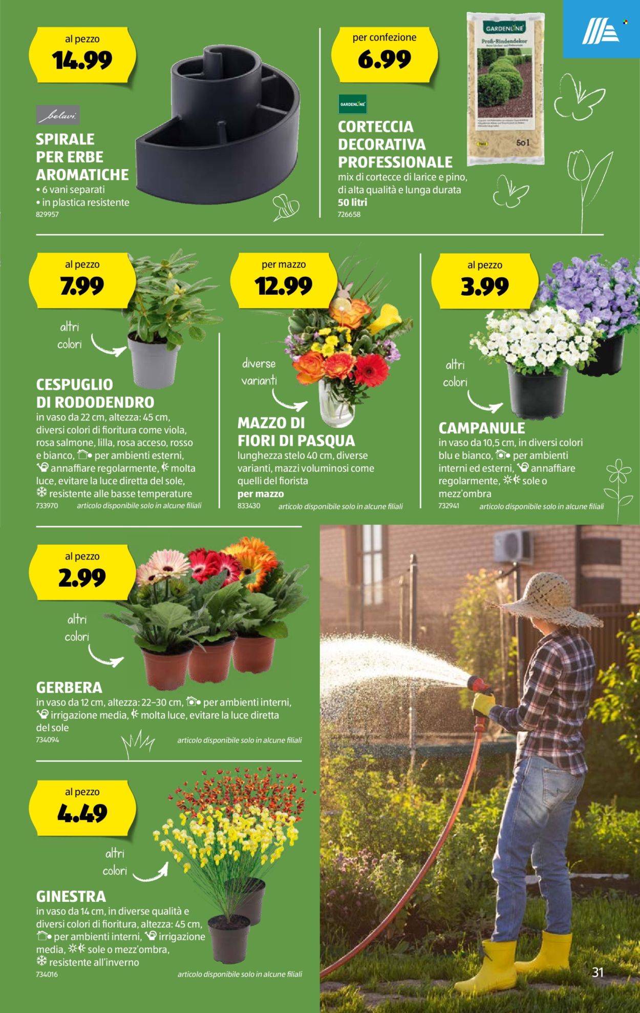 Prospekt Aldi - 28.3.2024 - 3.4.2024. Seite 31