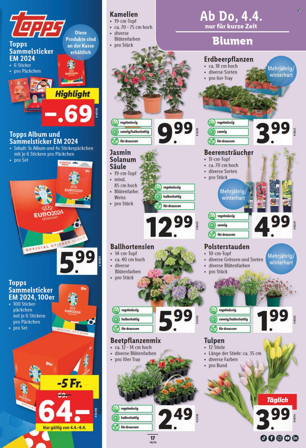 Volantino Lidl - 4.4.2024 - 10.4.2024. Pagina 19