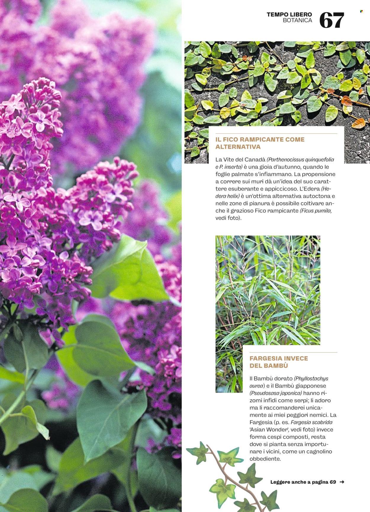 Catalogue Otto's - 23.4.2024 - 29.4.2024. Page 67