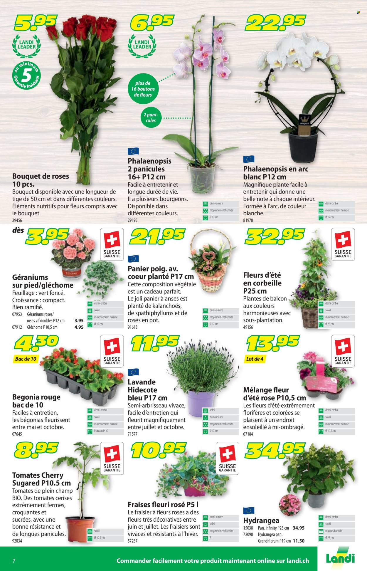Volantino Landi - 29.4.2024 - 12.5.2024. Pagina 11