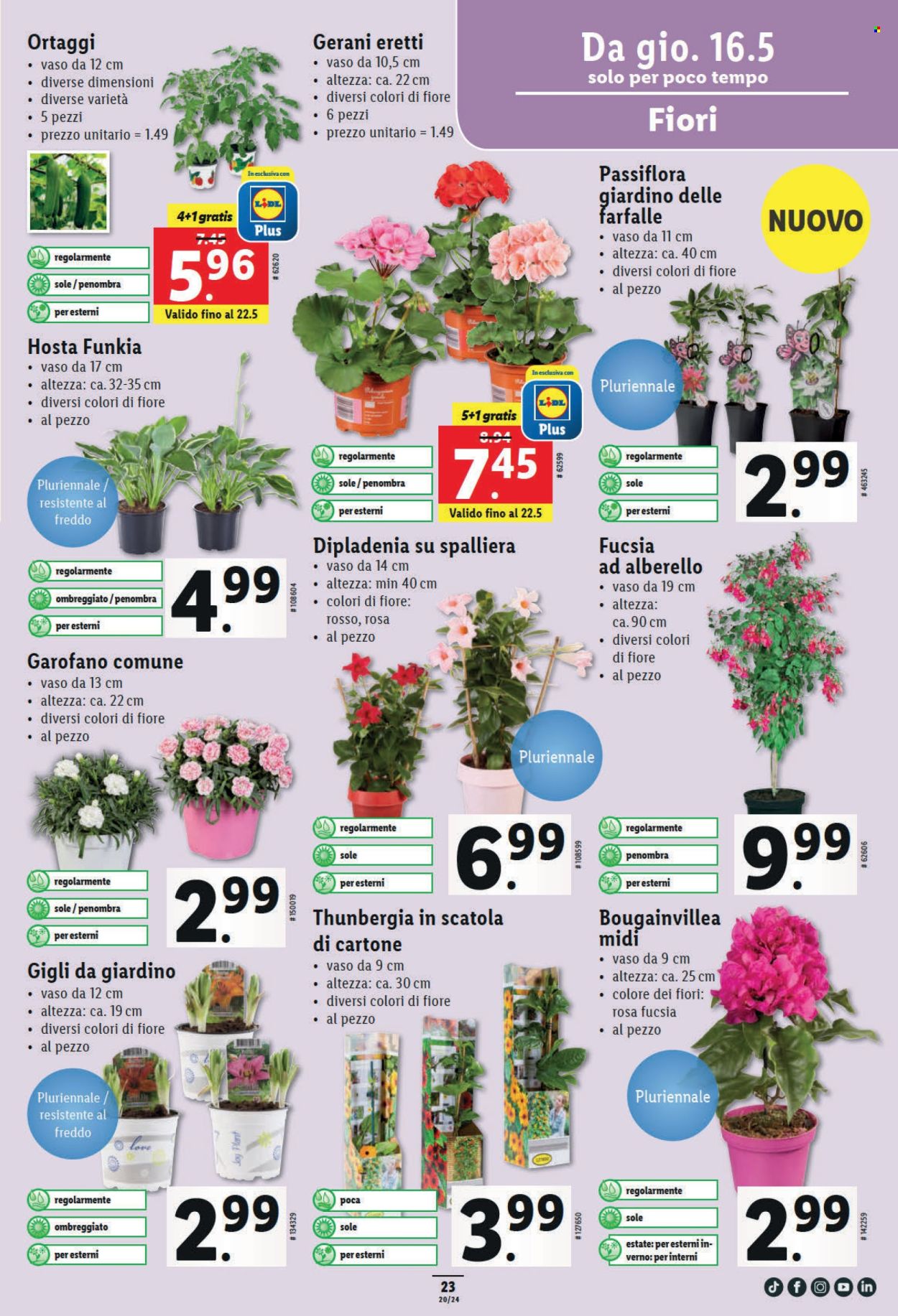 Volantino Lidl - 16.5.2024 - 22.5.2024. Pagina 23