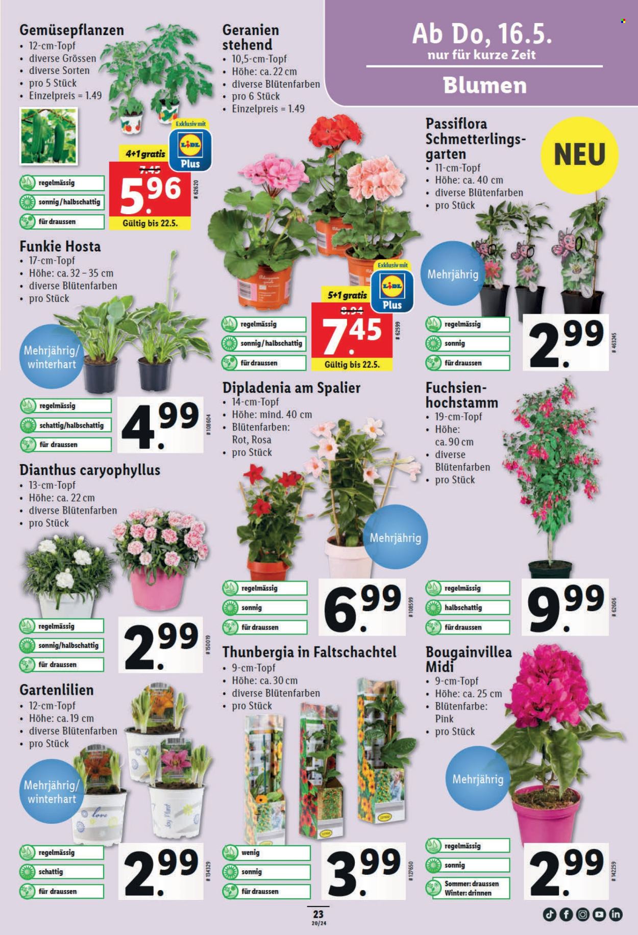 Volantino Lidl - 16.5.2024 - 22.5.2024. Pagina 23
