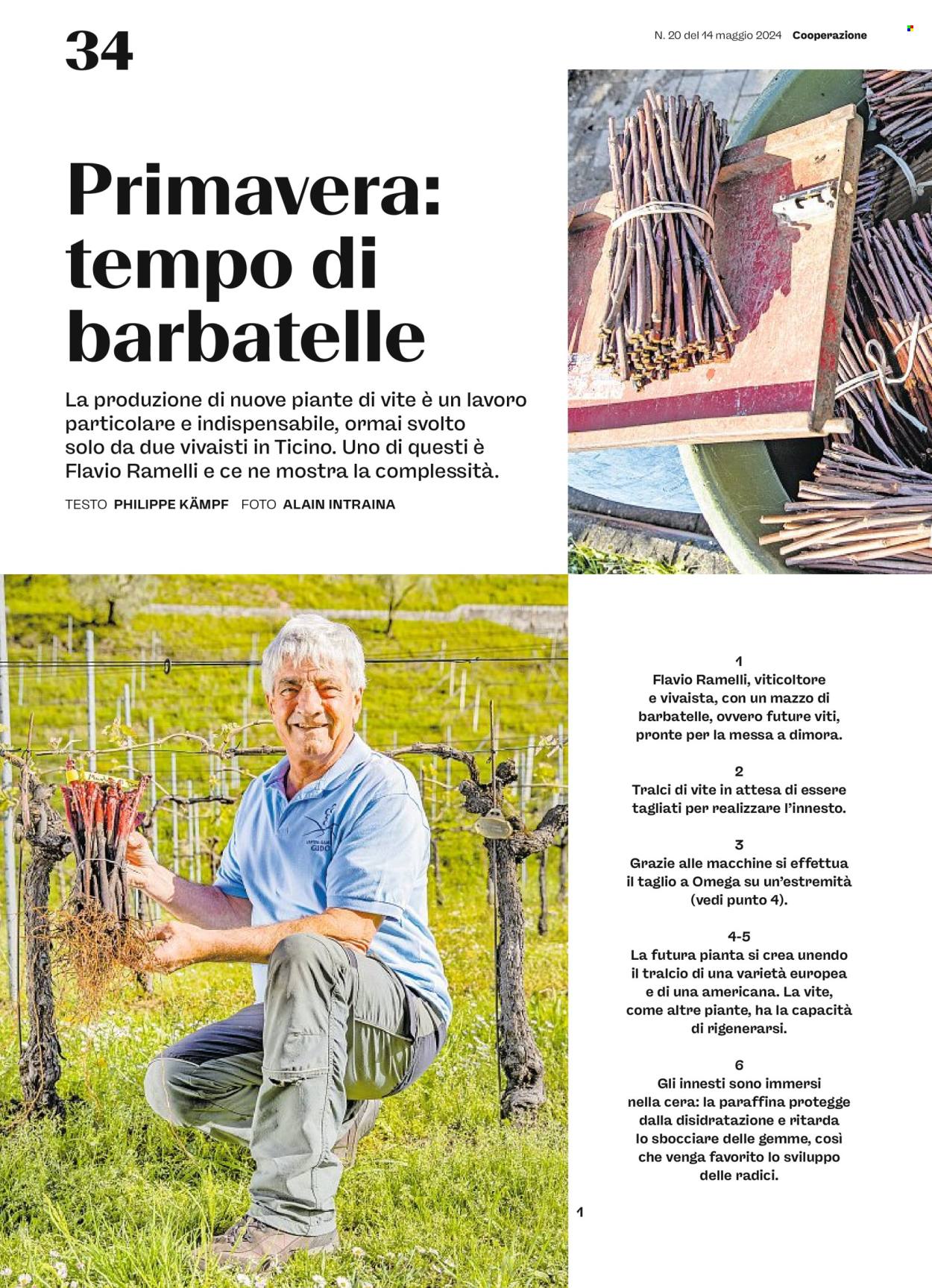 Prospekt Coop - 14.5.2024 - 20.5.2024. Seite 34