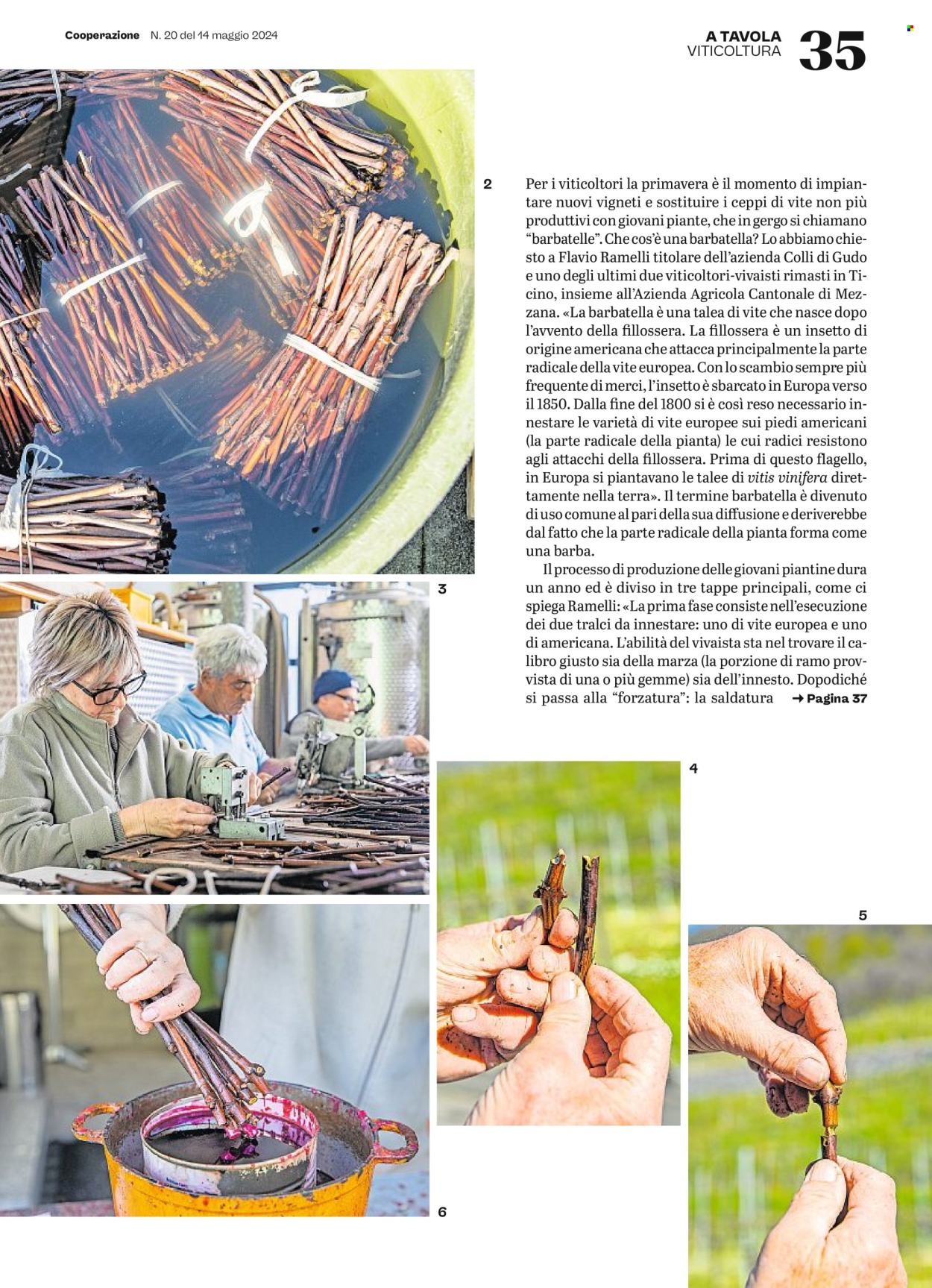 Prospekt Coop - 14.5.2024 - 20.5.2024. Seite 35