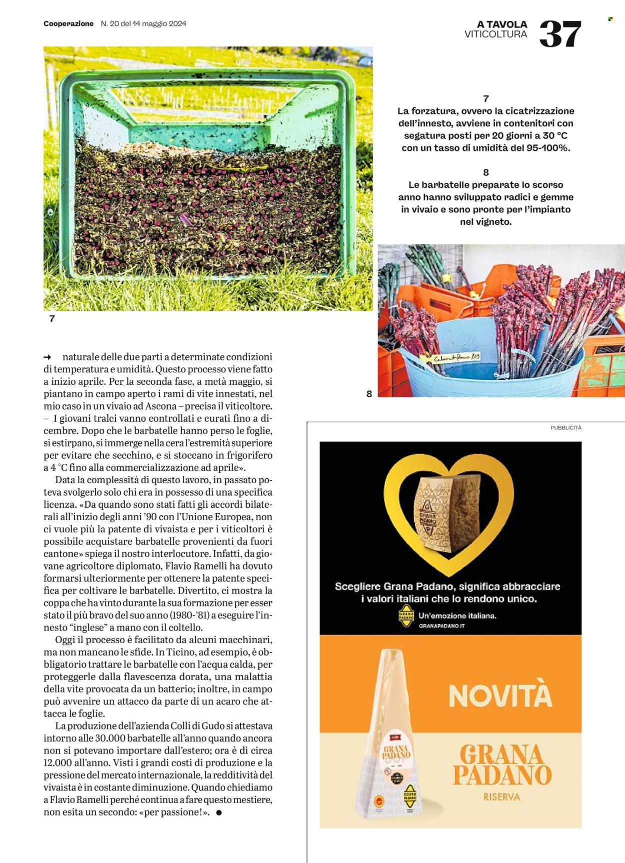 Prospekt Coop - 14.5.2024 - 20.5.2024. Seite 37
