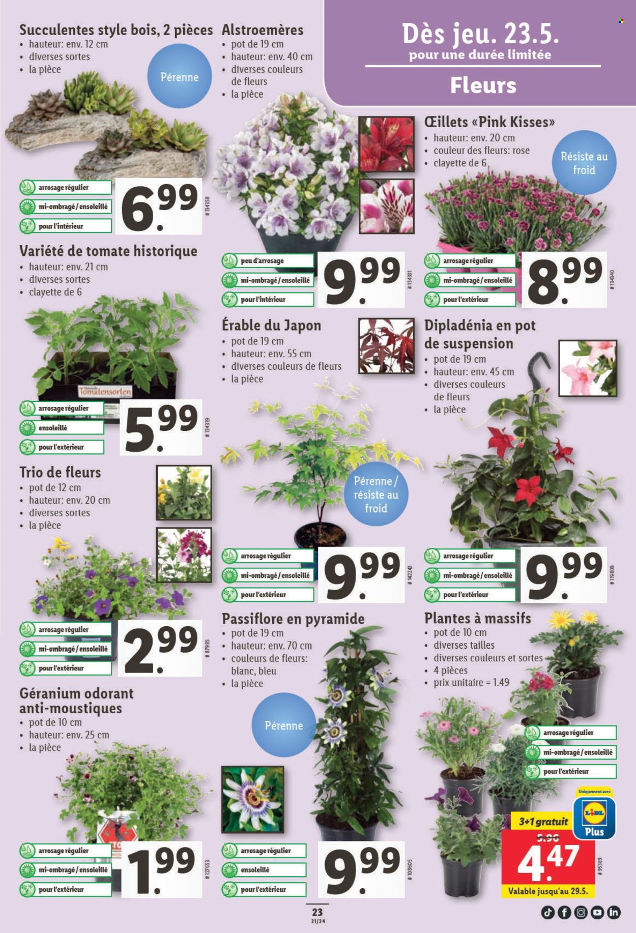 Volantino Lidl - 23.5.2024 - 29.5.2024. Pagina 27