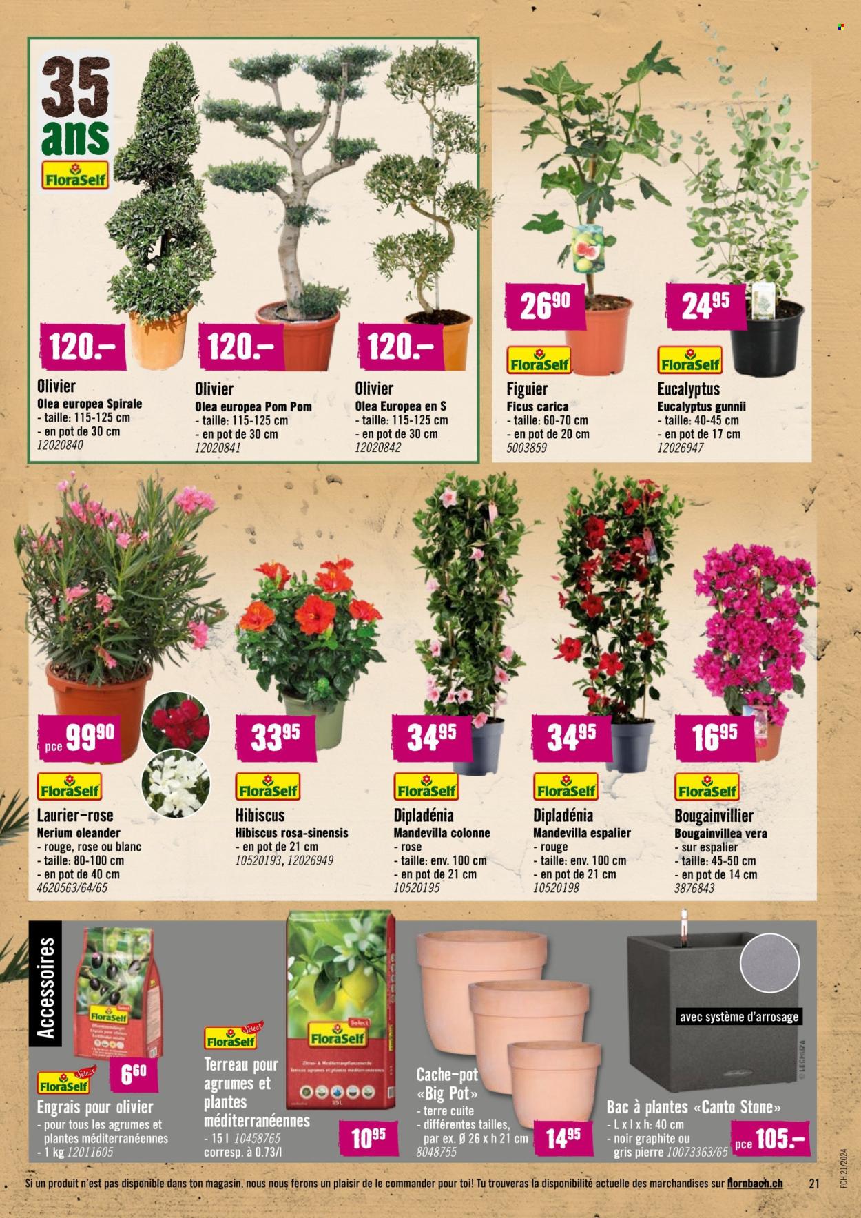 Catalogue Hornbach - 21.5.2024 - 18.6.2024. Page 21
