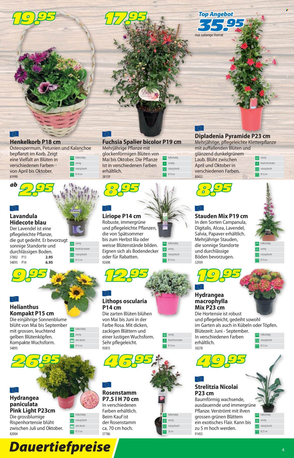 Catalogue Landi - 27.5.2024 - 9.6.2024. Page 8