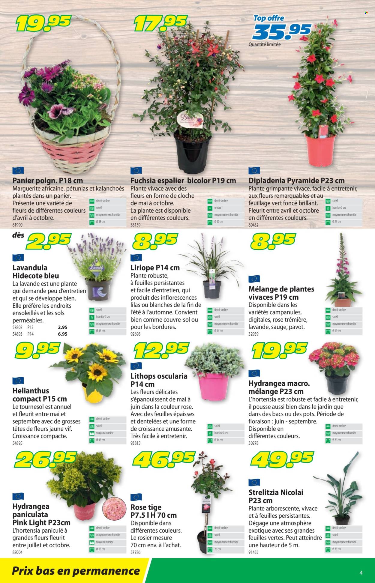 Catalogue Landi - 27.5.2024 - 9.6.2024. Page 8