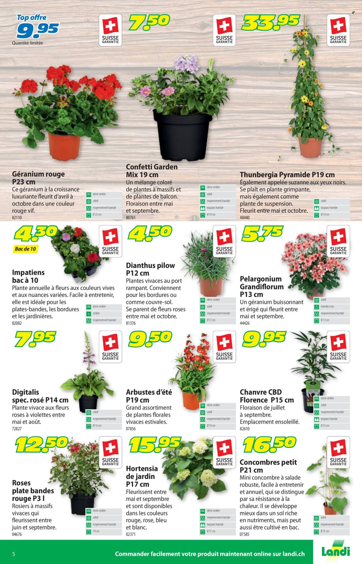 Catalogue Landi - 27.5.2024 - 9.6.2024. Page 9