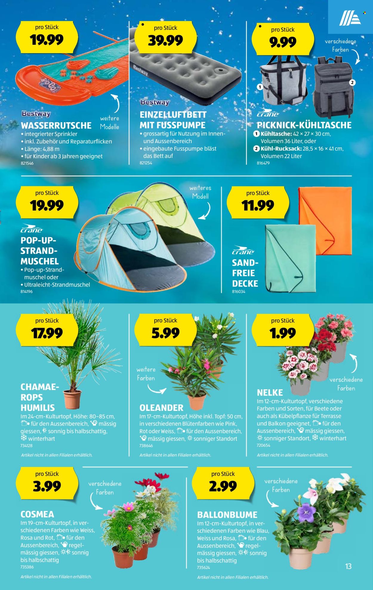 Volantino Aldi - 6.6.2024 - 12.6.2024. Pagina 13