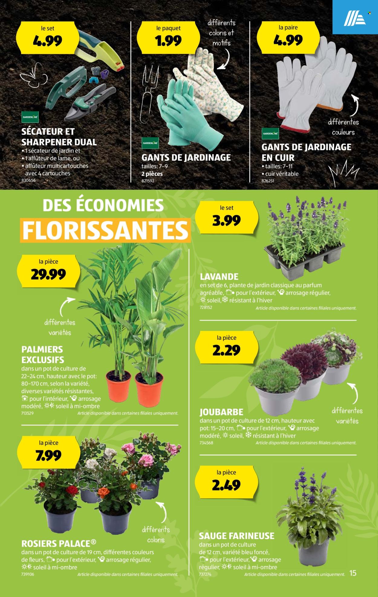 Volantino Aldi - 13.6.2024 - 19.6.2024. Pagina 15