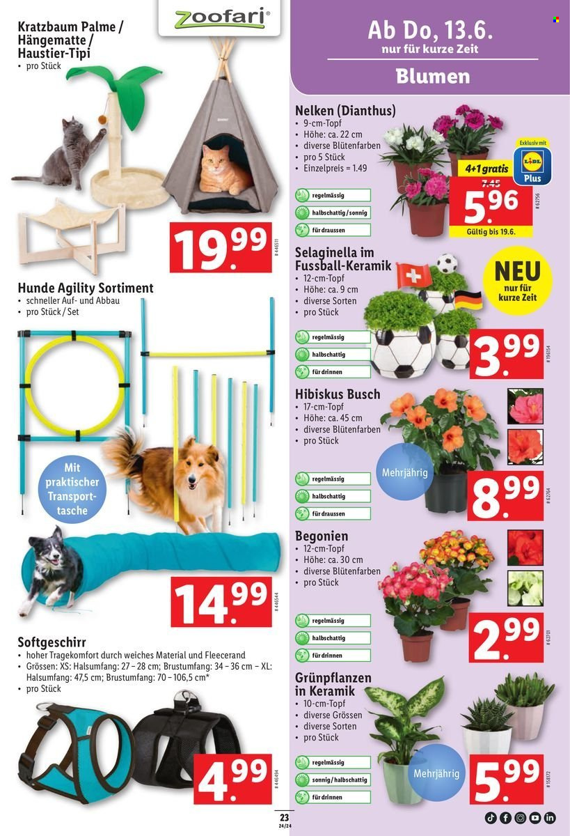 Volantino Lidl - 13.6.2024 - 19.6.2024. Pagina 27