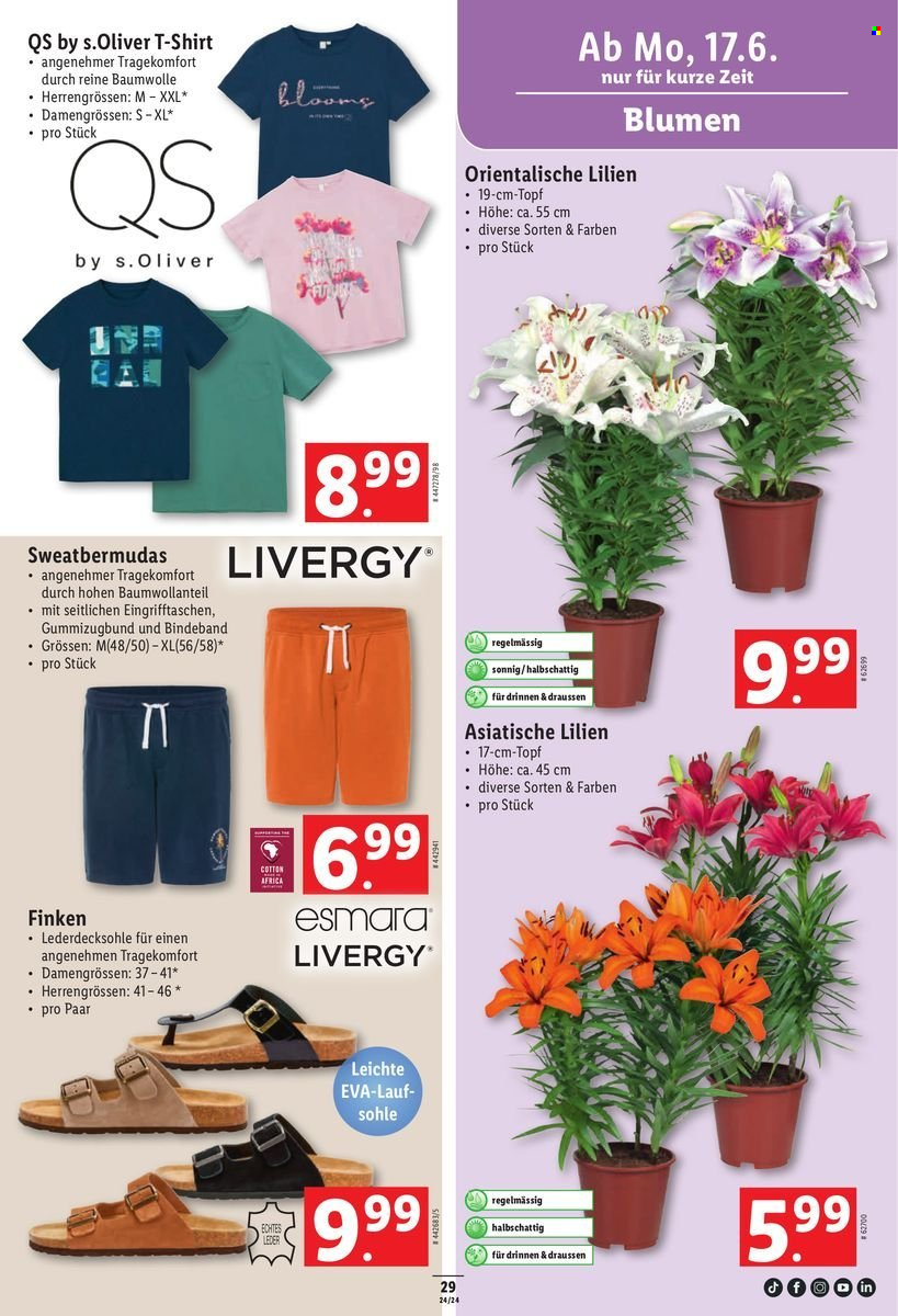 Volantino Lidl - 13.6.2024 - 19.6.2024. Pagina 33