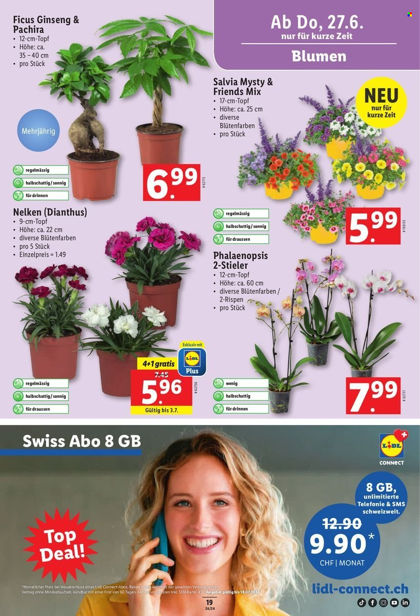 Catalogue Lidl - 27.6.2024 - 3.7.2024. Page 19
