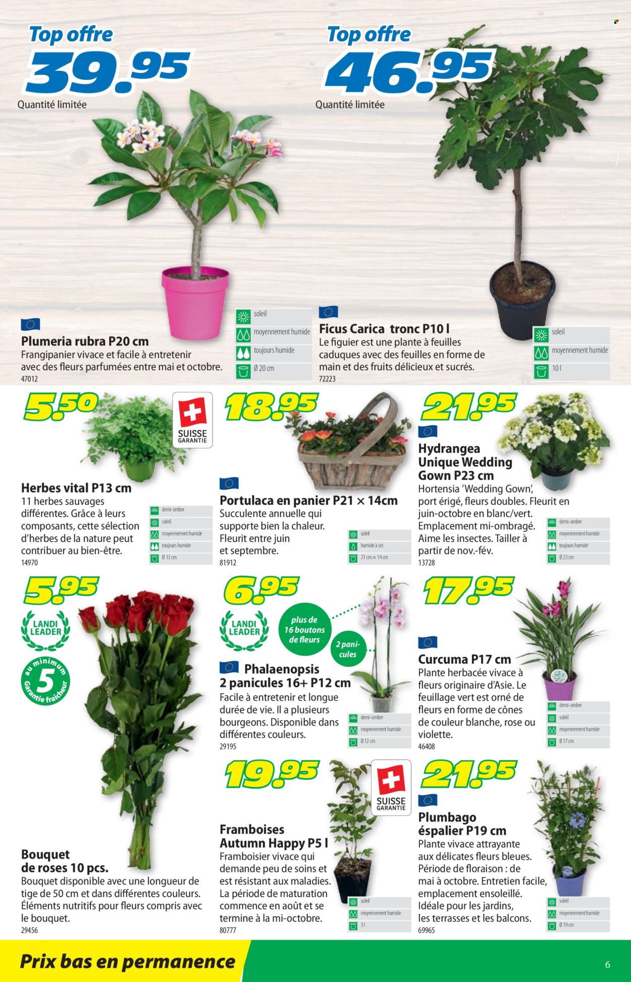 Volantino Landi - 24.6.2024 - 7.7.2024. Pagina 10