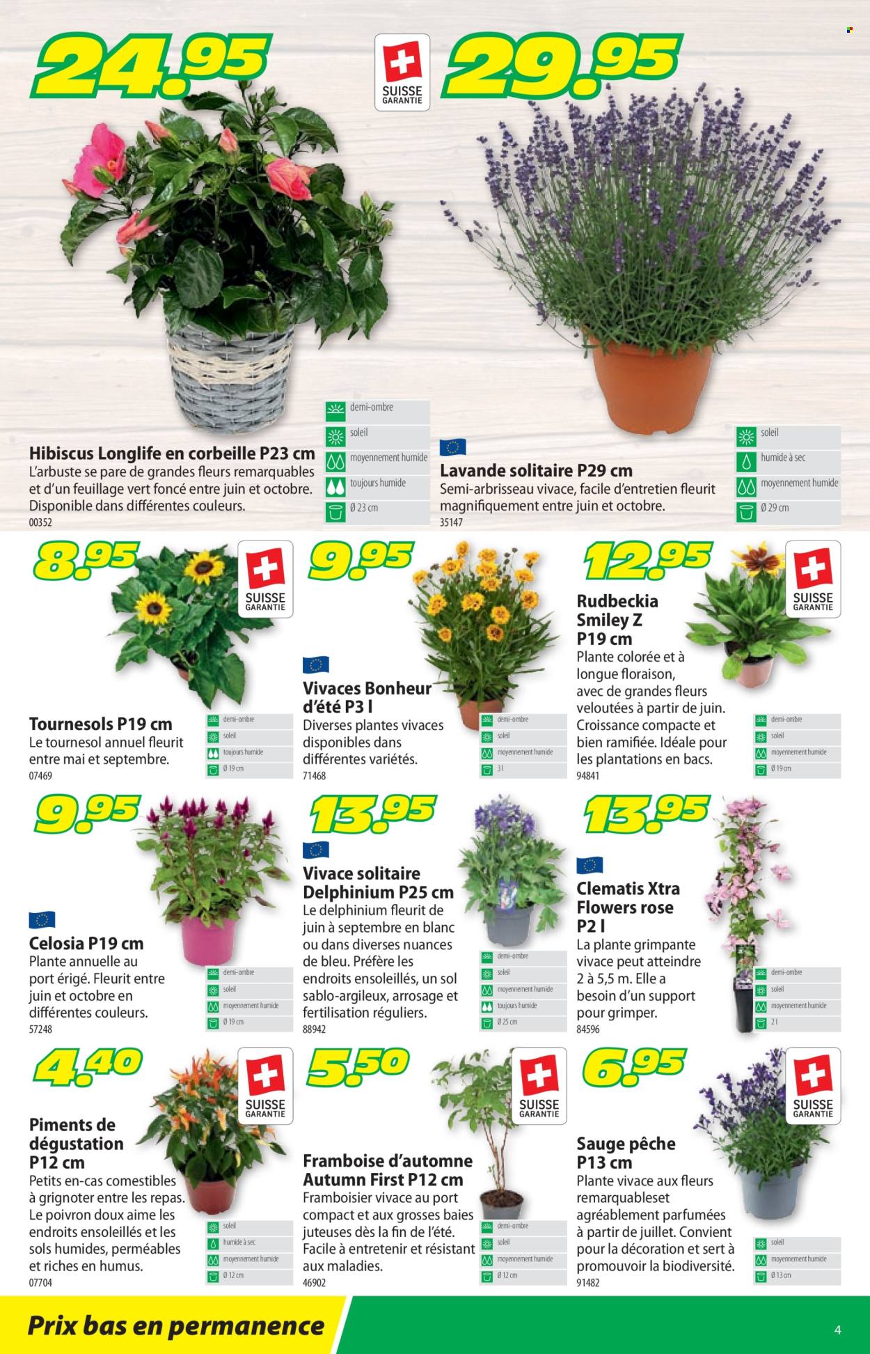 Prospekt Landi - 8.7.2024 - 21.7.2024. Seite 8
