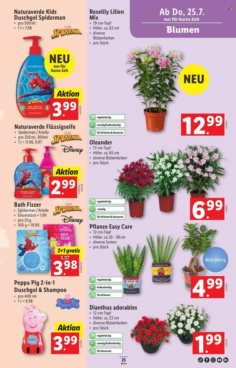 Volantino Lidl - 25.7.2024 - 30.7.2024. Pagina 25