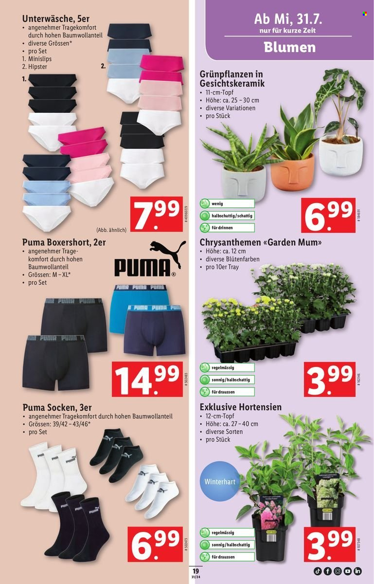 Volantino Lidl - 31.7.2024 - 7.8.2024. Pagina 21