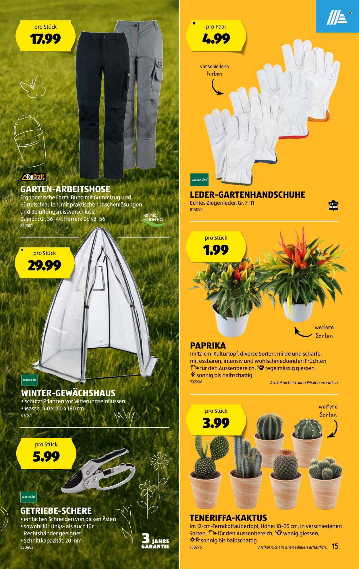 Prospekt Aldi - 15.8.2024 - 21.8.2024. Seite 15
