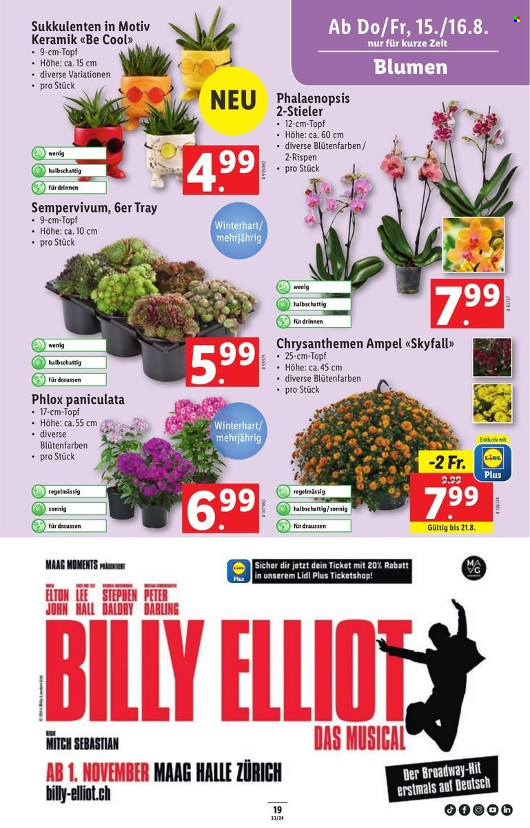 Volantino Lidl - 15.8.2024 - 21.8.2024. Pagina 19