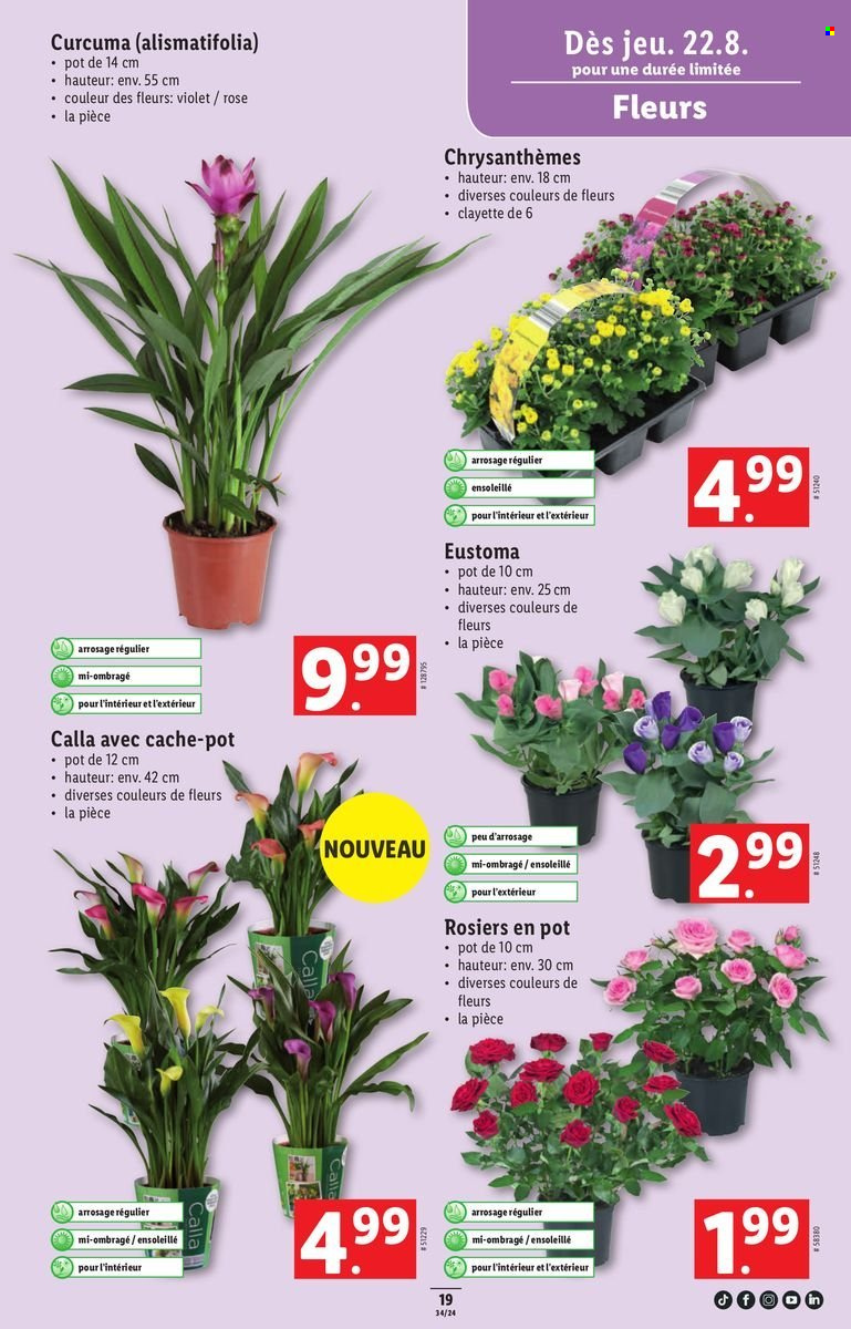 Volantino Lidl - 22.8.2024 - 28.8.2024. Pagina 23